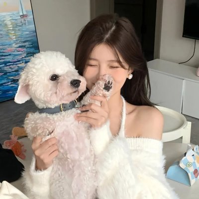 过失之子 在线观看封面