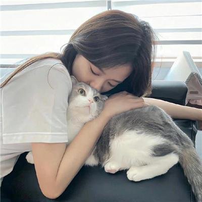 7号室 在线观看封面