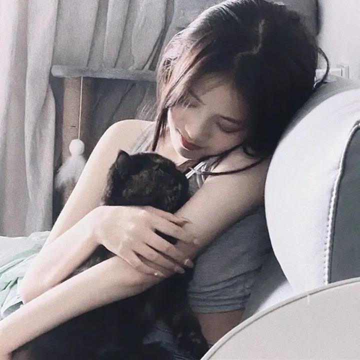 火力少年王动画版 在线观看封面